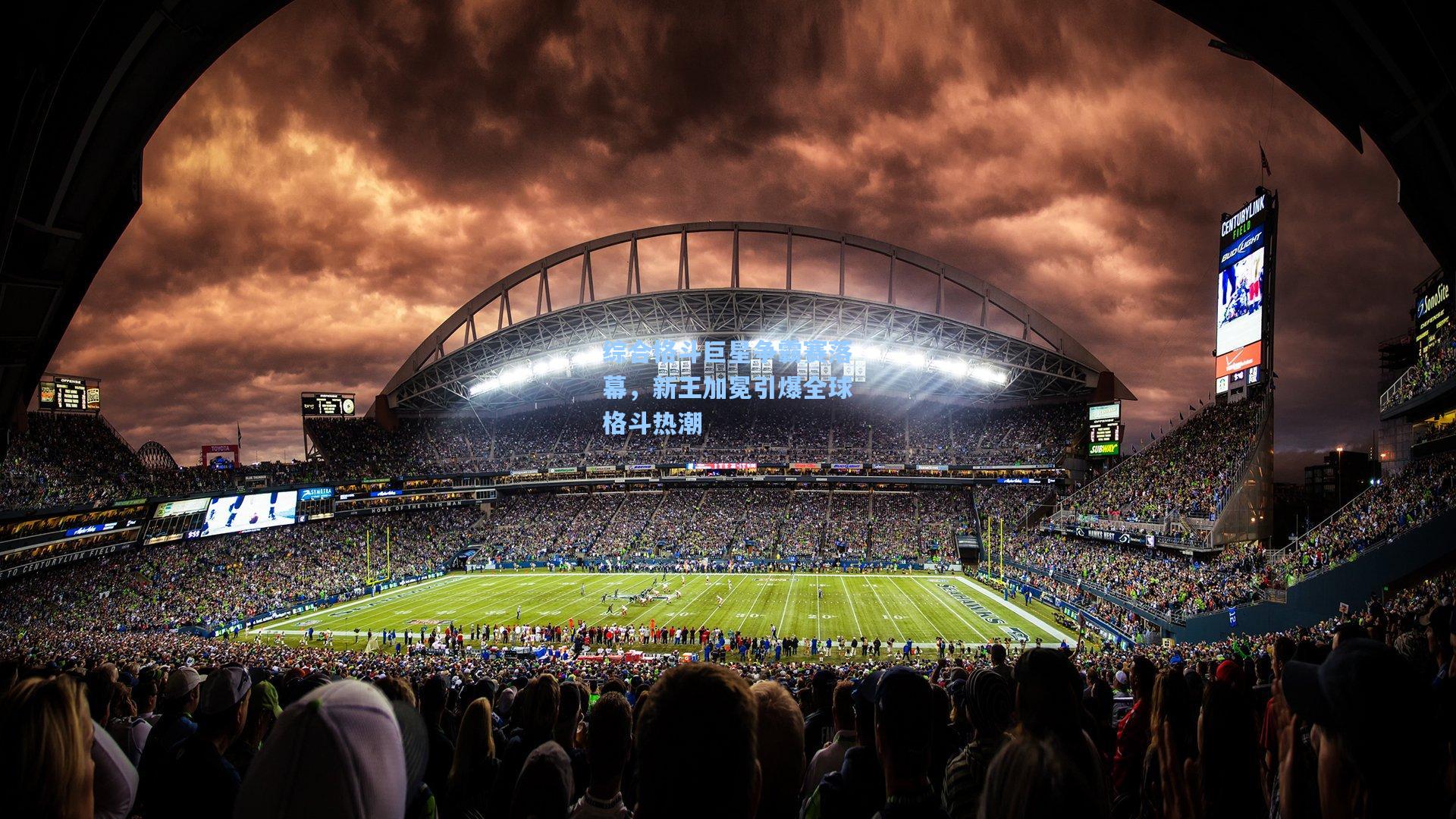 综合格斗巨星争霸赛落幕,新王加冕引爆全球格斗热潮