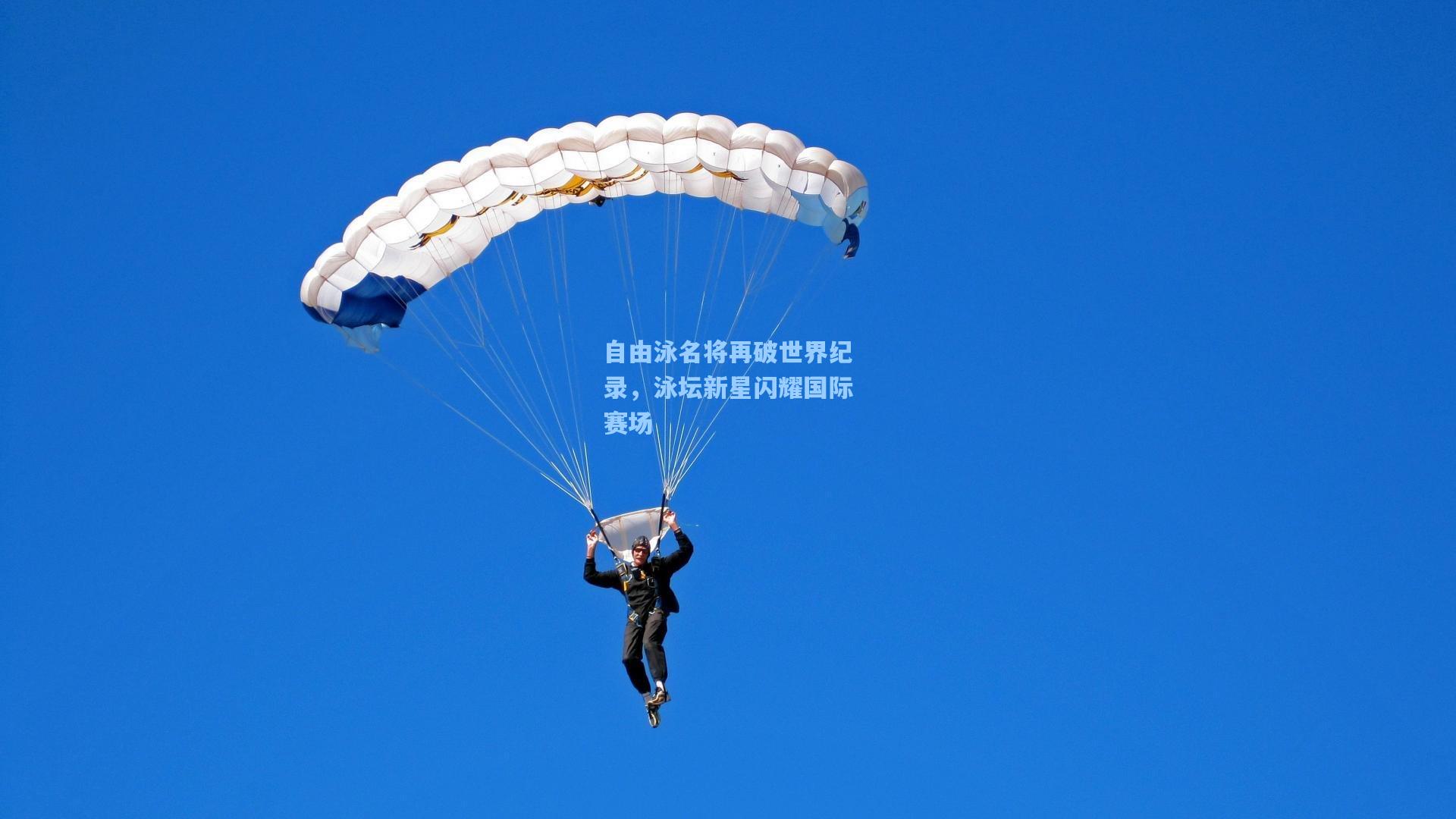 自由泳名将再破世界纪录，泳坛新星闪耀国际赛场